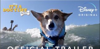 Watch It’s A Dog’s Life (2020) DISNEY Cast, All Episodes Online, Download