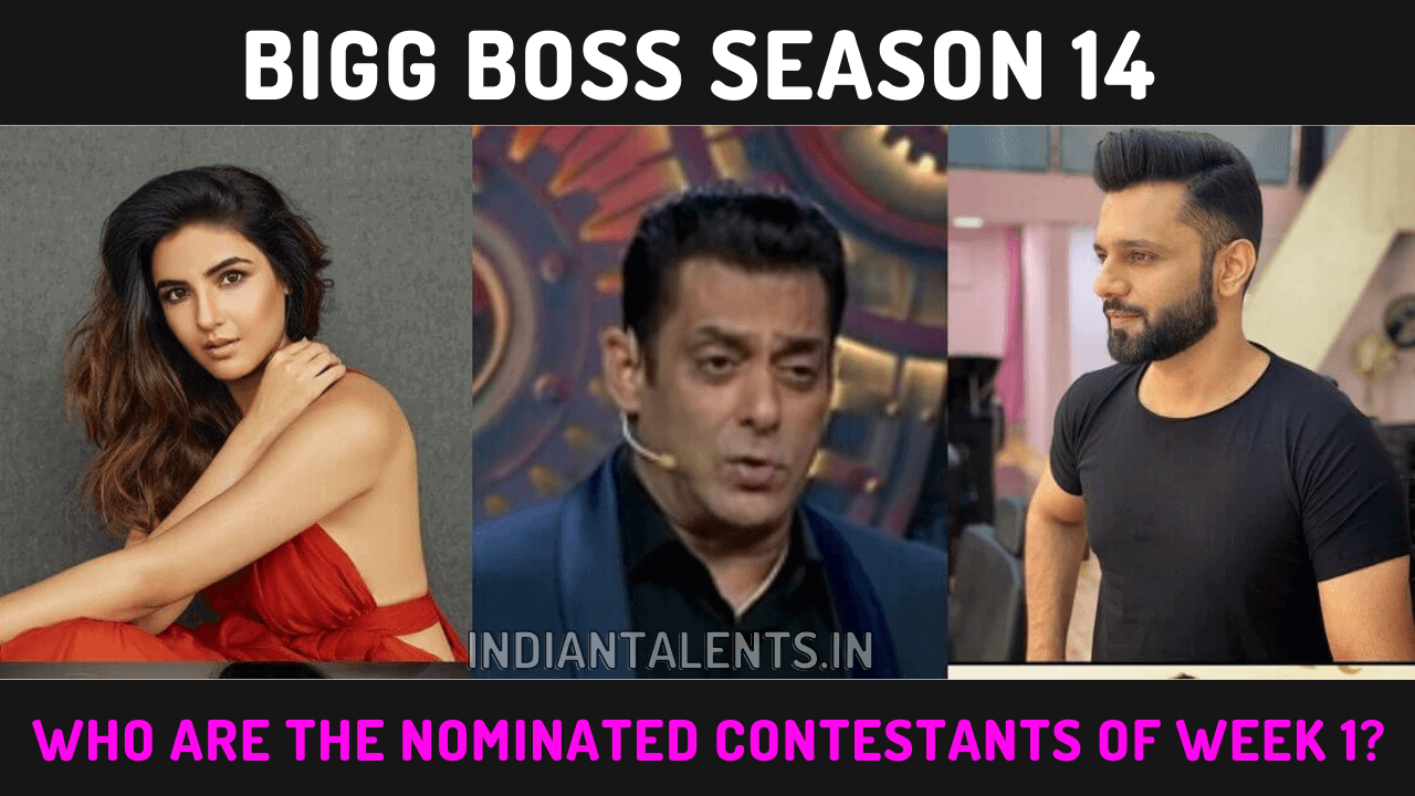 Bigg Boss 14 Vote: Who are the nominated contestants of Week 1?