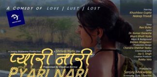 Pyari Nari web series from Fliz Movies
