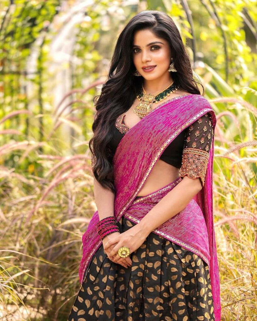 Divyabharathi in sexy saree