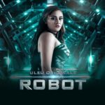Robot Web Series poster