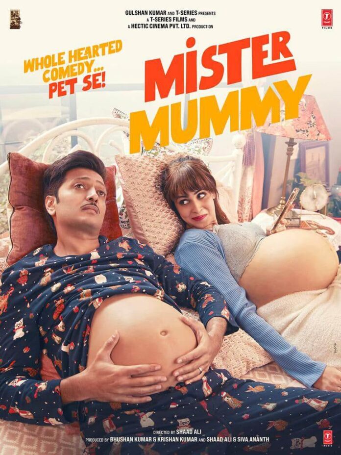 Mister Mummy Movie poster