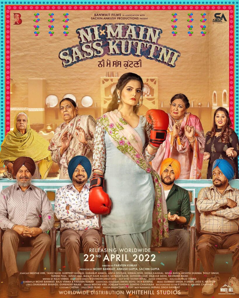 Ni Main Sass Kuttni Movie poster