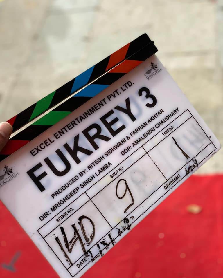 Fukrey 3 Movie