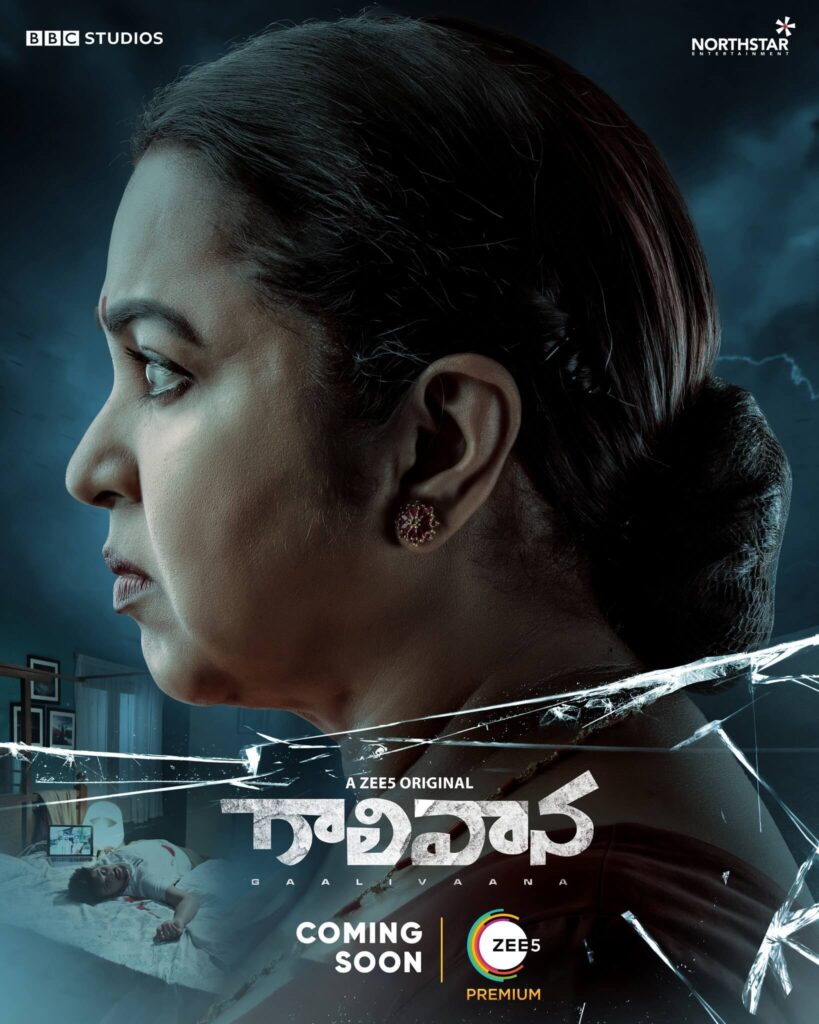 Gaalivaana Web Series poster