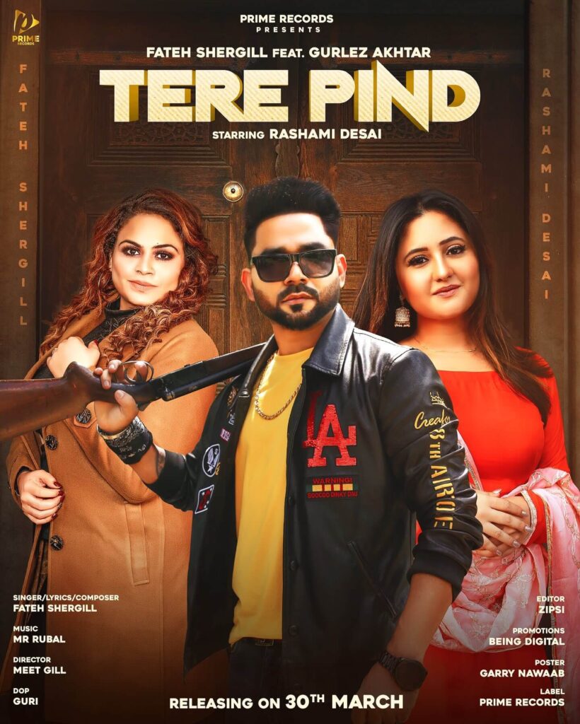 Tere Pind Music Video poster