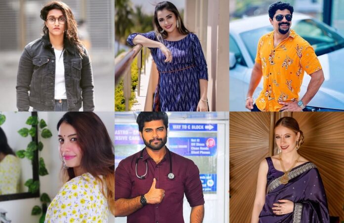 All Bigg Boss Malayalam 4 Contestants List with Photos