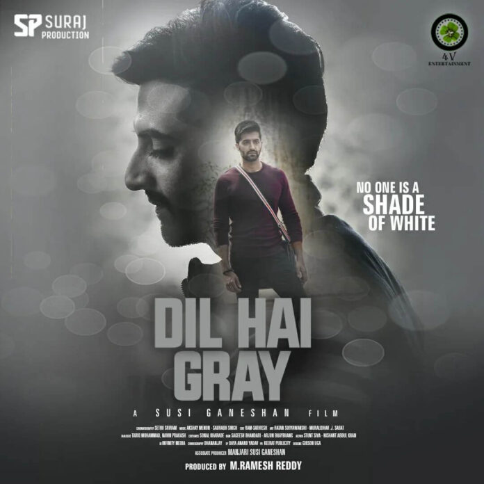Dil Hai Gray Movie poster