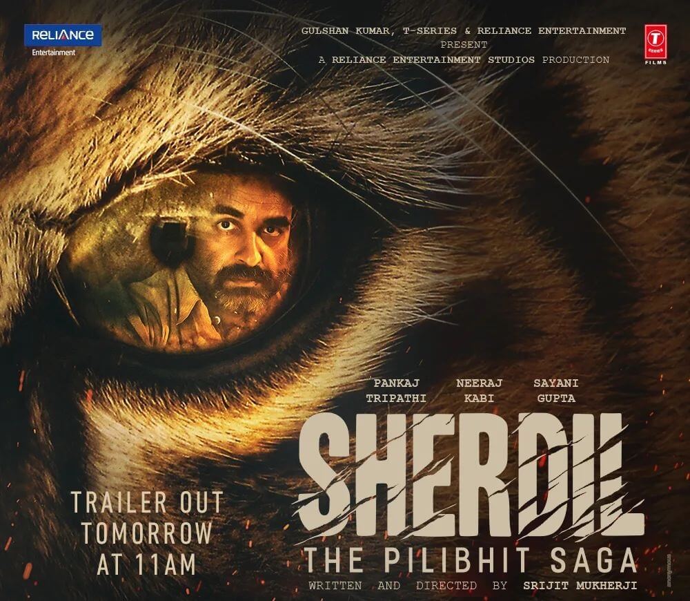 Sherdil Movie poster