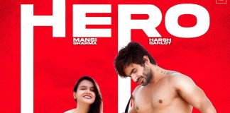 Hero Music Video poster
