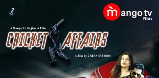 Cricket Affairs Web Series Poster