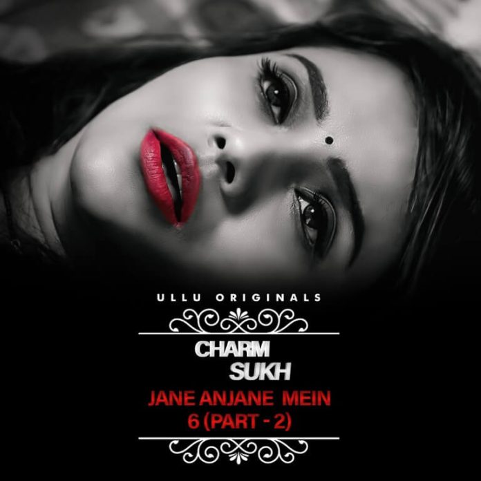Charmsukh Jane Anjane Mein 6 Part 2 Web Series poster