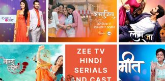 Zee TV Hindi Serials and Their Cast