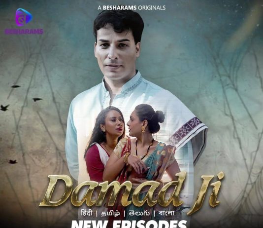 Damad Ji Part 2 Web Series poster
