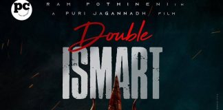 Double Lsmart Movie poster