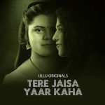 Tere Jaisa Yaar Kaha Web Series poster