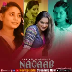 Naqaab Web Series poster